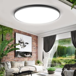 Canmeijia Modern Ceiling Lights for Living Room